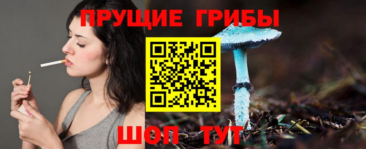 Псилоцибиновые грибы Psilocybe  Вход с VPN  Елизово  Псилоцибиновые грибы Magic Shrooms 